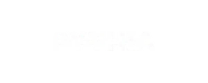 Shopify brand we work with